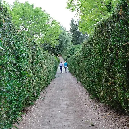 Trigona * Piazza Armerina