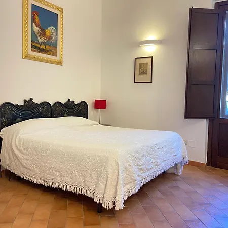 Trigona * Piazza Armerina