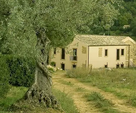 Trigona * Piazza Armerina