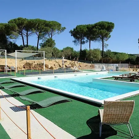 Trigona Piazza Armerina