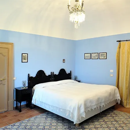 Trigona * Piazza Armerina