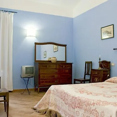 Trigona * Piazza Armerina