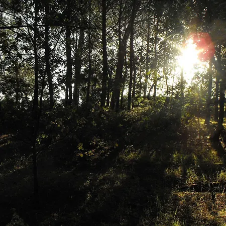 منزل ريفي Trigona *