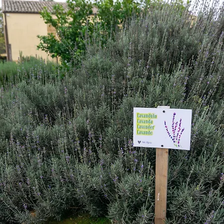 Trigona منزل ريفي