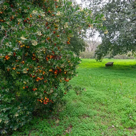Séjour à la campagne Trigona