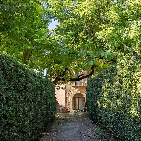Casa rural Trigona