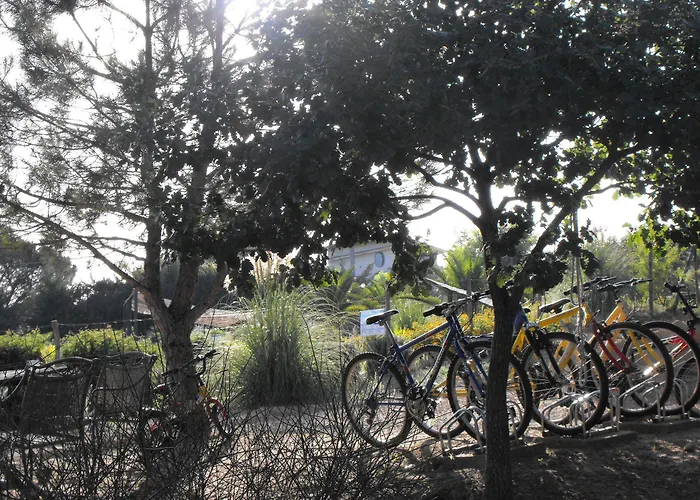 Trigona * פיאצה ארמרינה