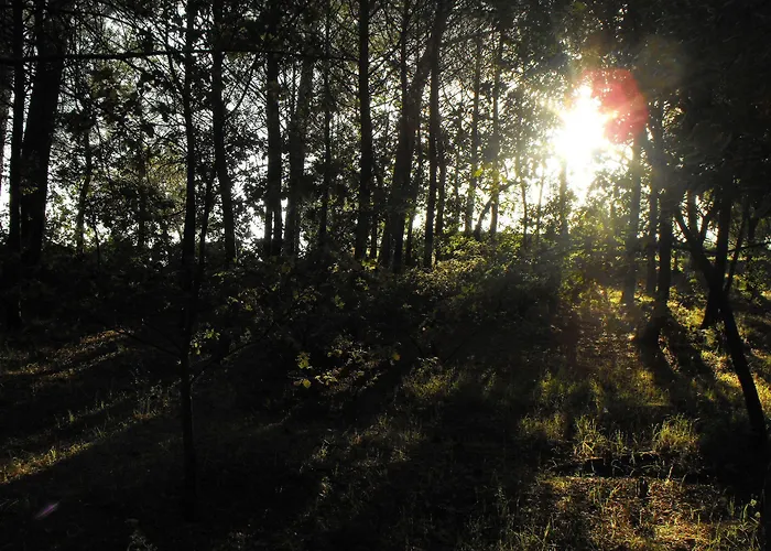 בית כפרי Trigona *