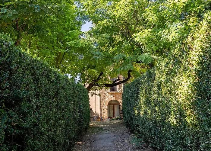 בית כפרי Trigona