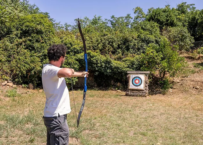 Trigona פיאצה ארמרינה