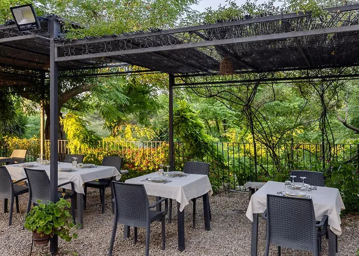 Trigona פיאצה ארמרינה