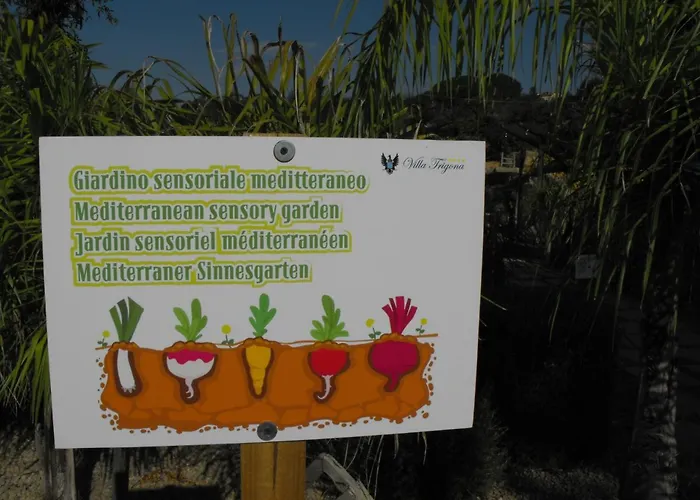 בית כפרי Trigona